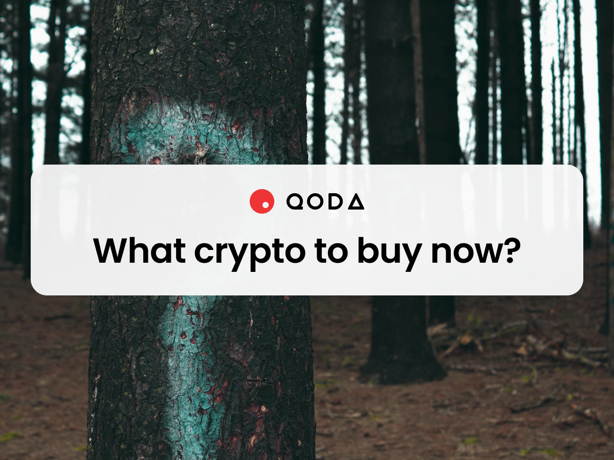 What crypto to buy now?